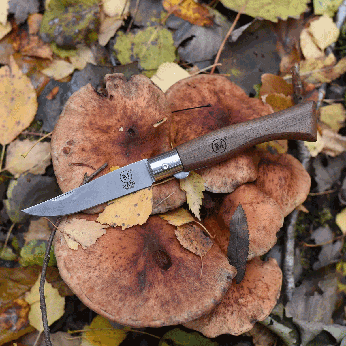 MAIN Italian Line Pocket Knife 10001