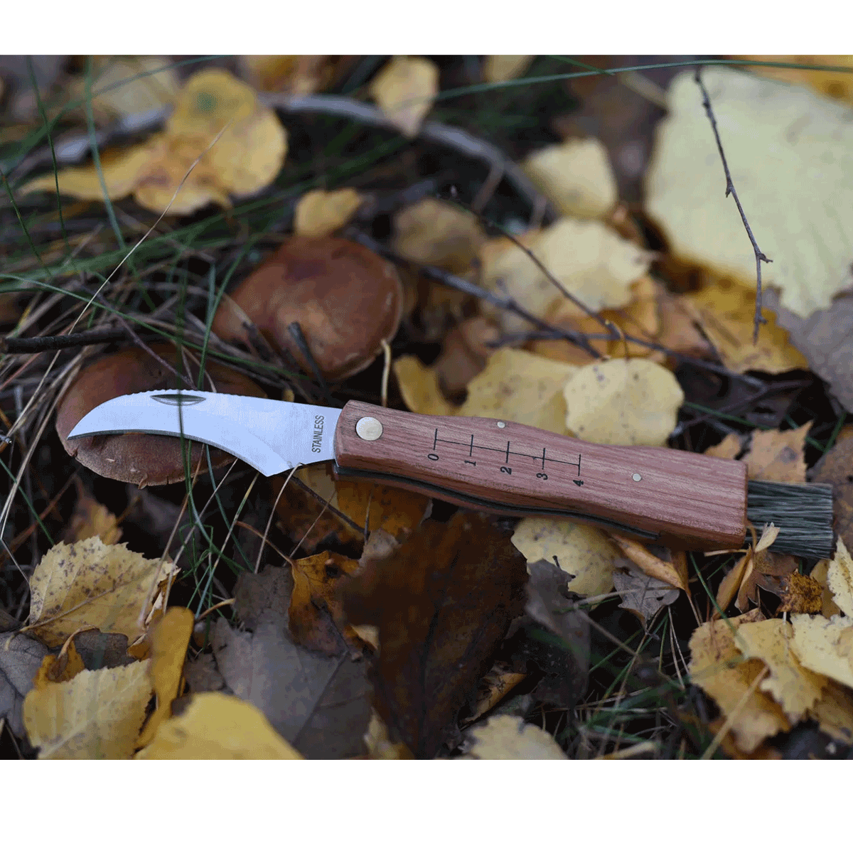 MAIN Mushroom Knife 7000