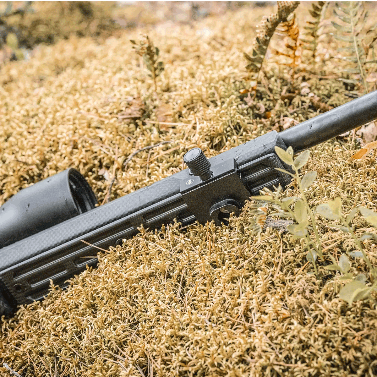 OAC TAC Matrix Carbon Arca rail