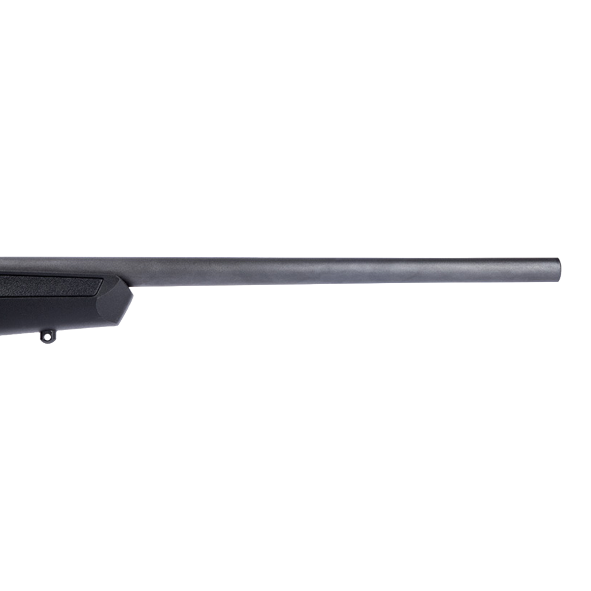 Savage B17 F 17 HMR